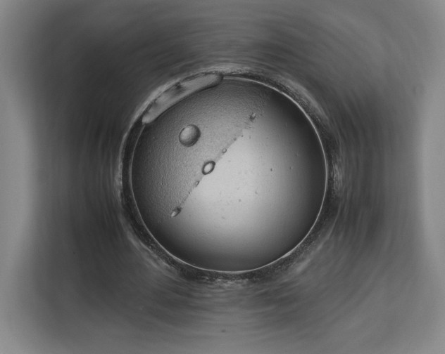 X0000112950484200908311512