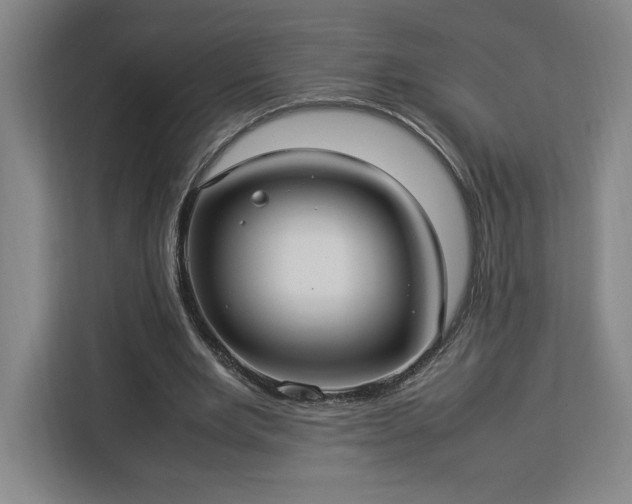 X0000112950485200908311512