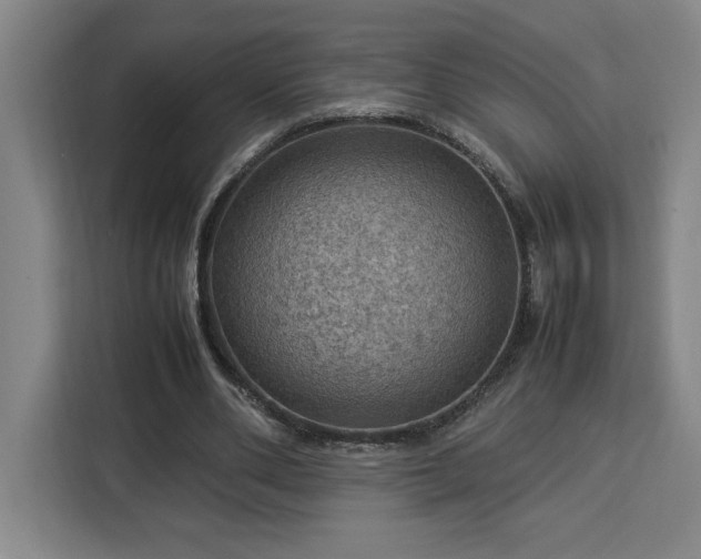 X0000112950486200908311512