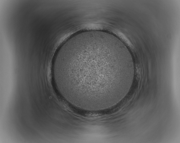 X0000112950487200908311512