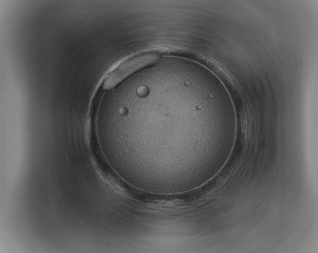 X0000112950488200908311512