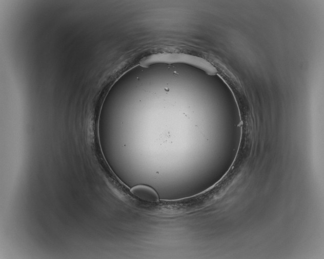 X0000112950489200908311512