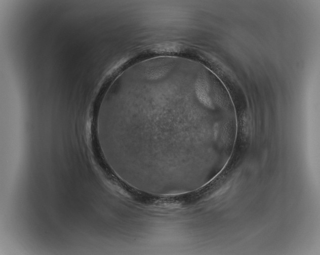 X0000112950491200908311512