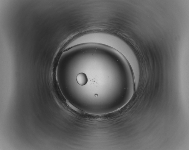 X0000112950492200908311512