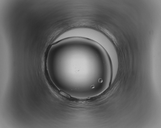 X0000112950493200908311512