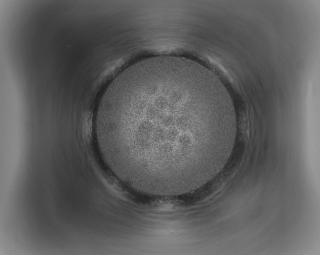 X0000112950495200908311512