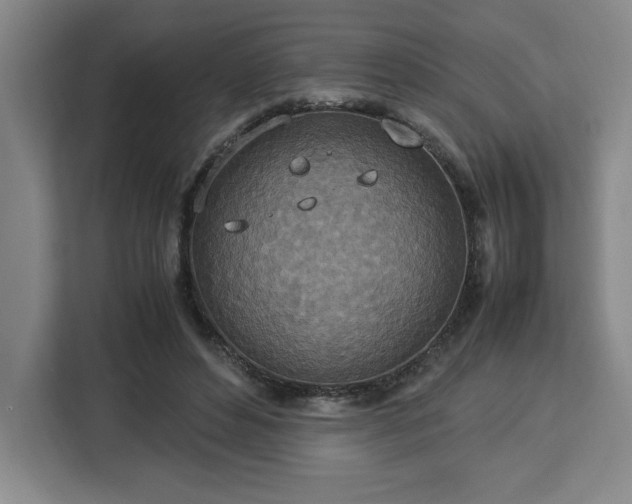 X0000112950496200908311512