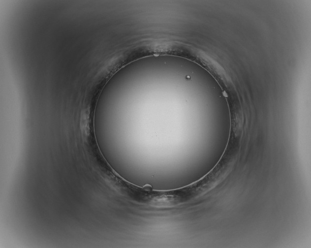 X0000112950497200908311512