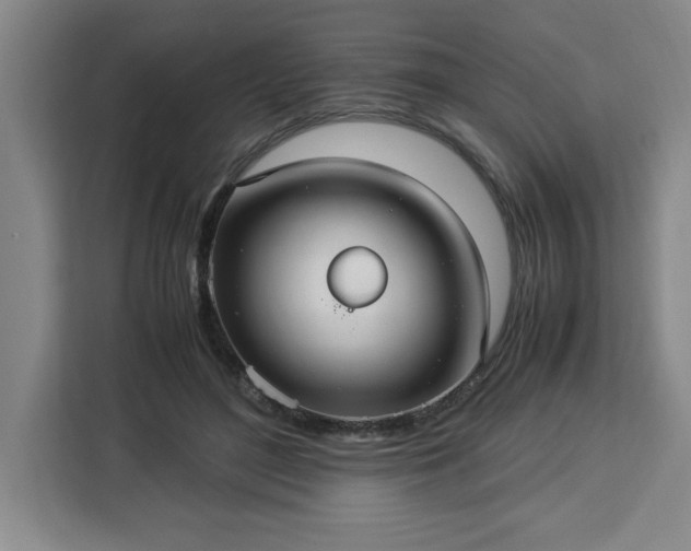 X0000112950500200908311512