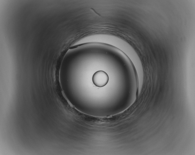 X0000112950504200908311512