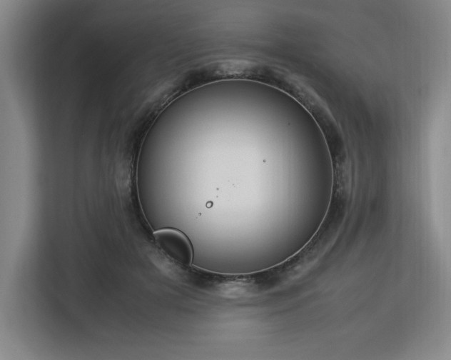 X0000112950505200908311512