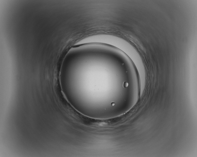 X0000112950509200908311512