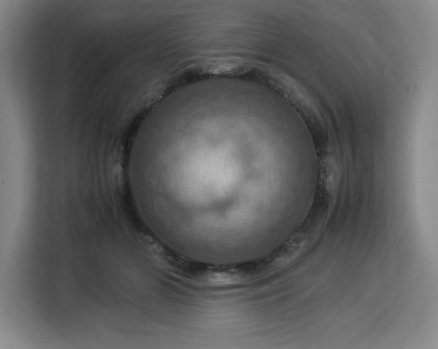 X0000112950510200908311512