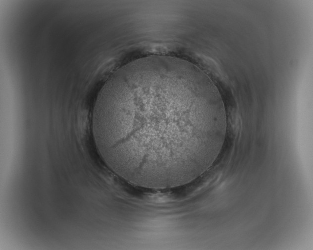 X0000112950511200908311512