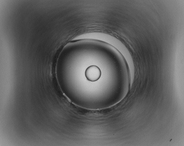 X0000112950512200908311512