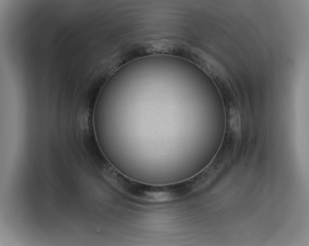 X0000112950514200908311512