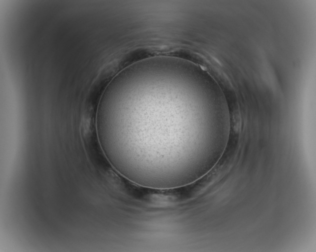 X0000112950515200908311512