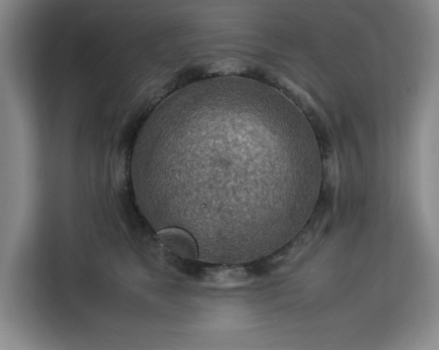 X0000112950517200908311512