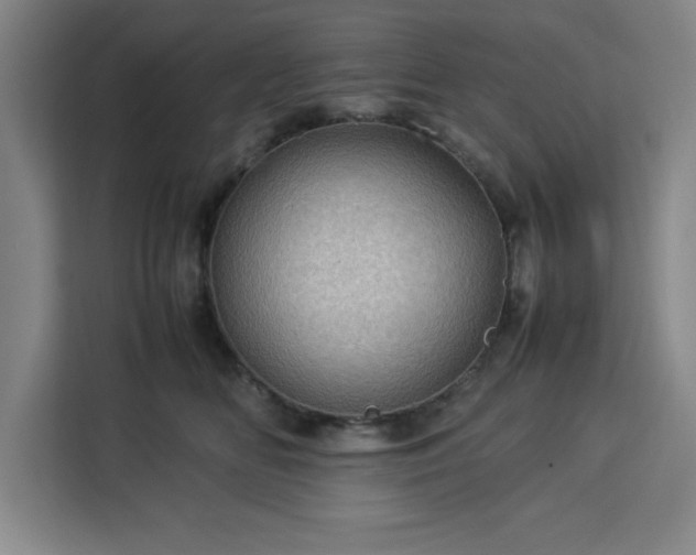 X0000112950518200908311512