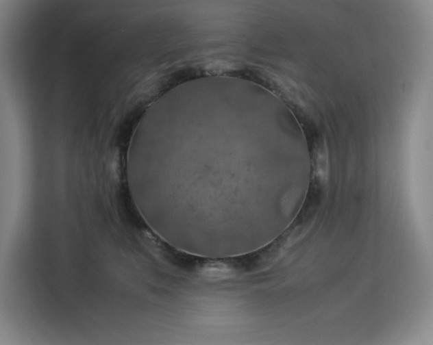 X0000112950519200908311512