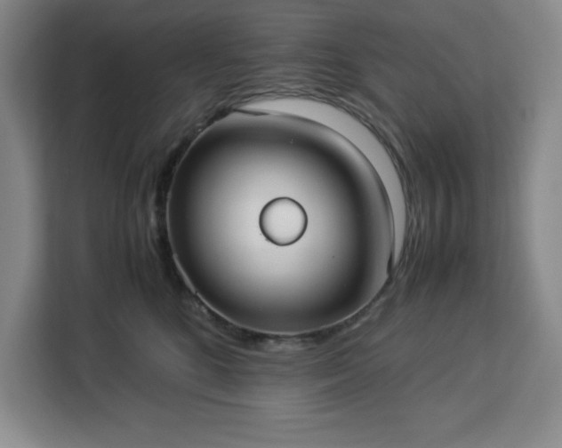 X0000112950520200908311512