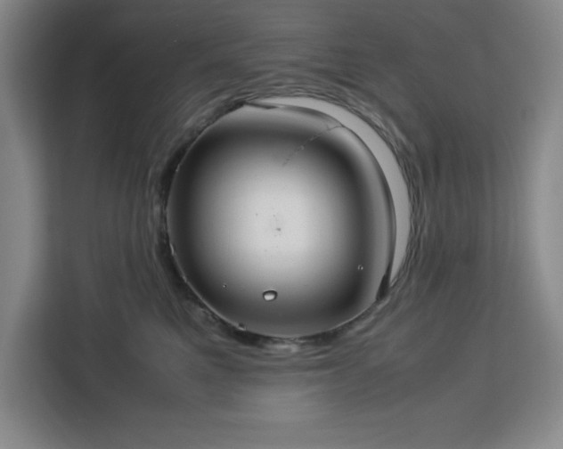 X0000112950521200908311512