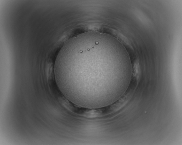 X0000112950522200908311512