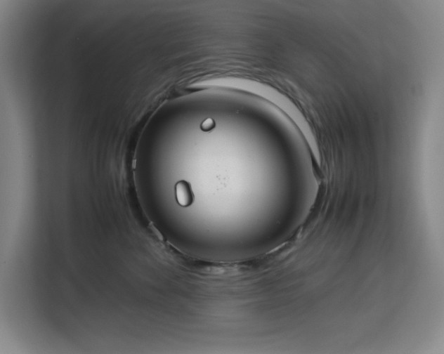 X0000112950524200908311512