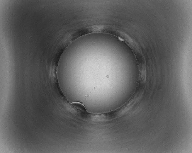 X0000112950525200908311512