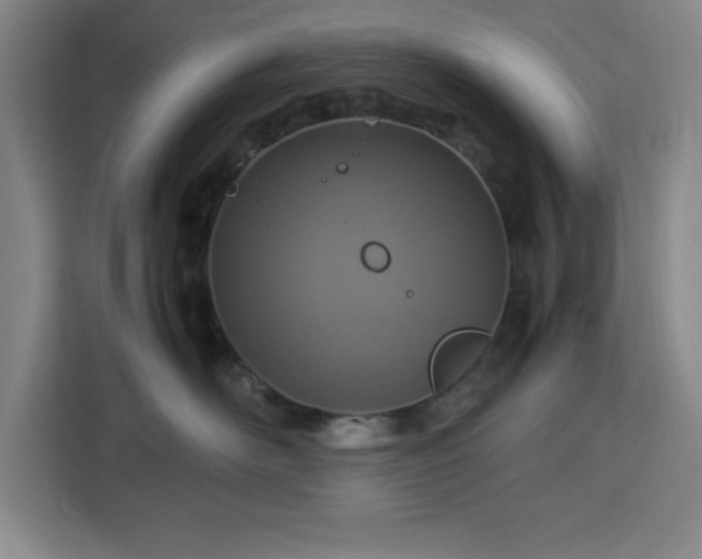 X0000112950526200908311512