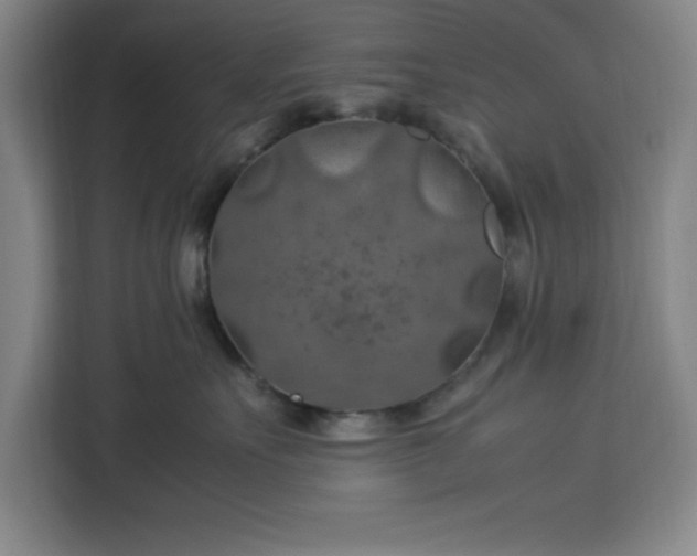 X0000112950527200908311512