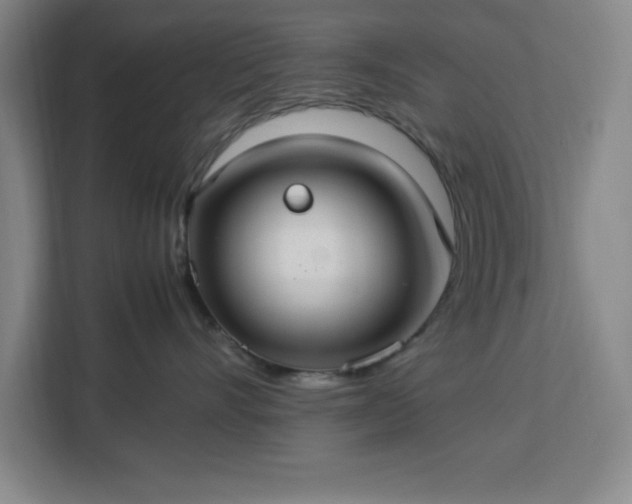 X0000112950528200908311512