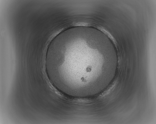 X0000112950529200908311511