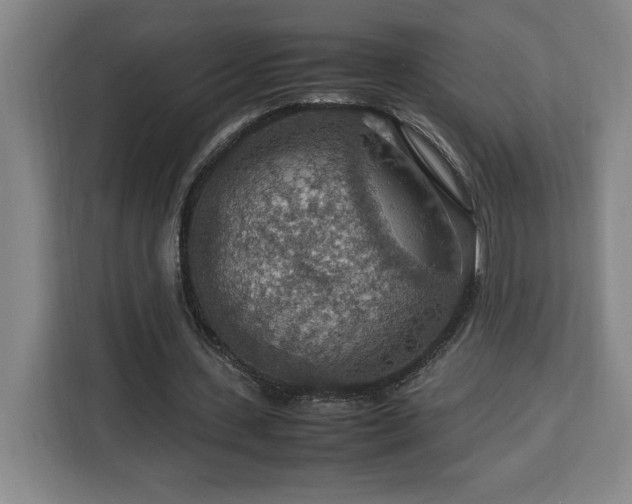 X0000112950531200908311511