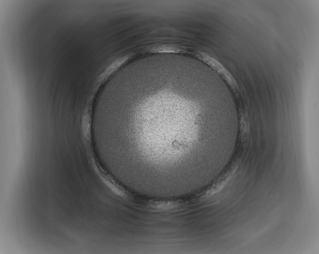 X0000112950533200908311511