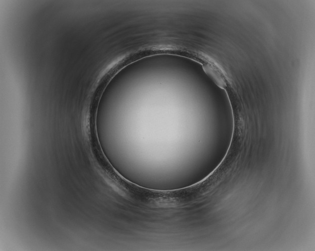 X0000112950535200908311511