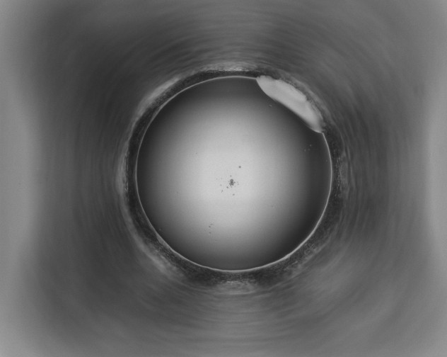 X0000112950536200908311511