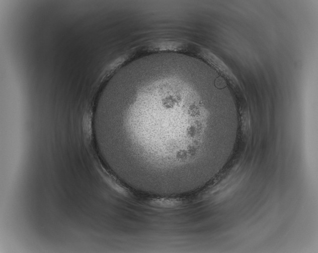 X0000112950537200908311511