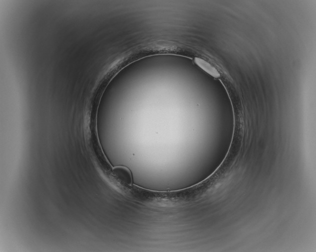 X0000112950538200908311511