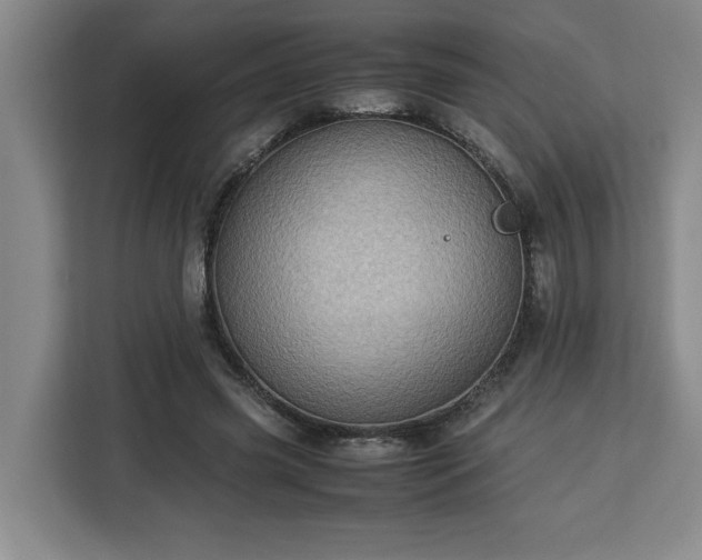 X0000112950541200908311511