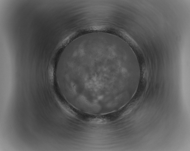 X0000112950542200908311511