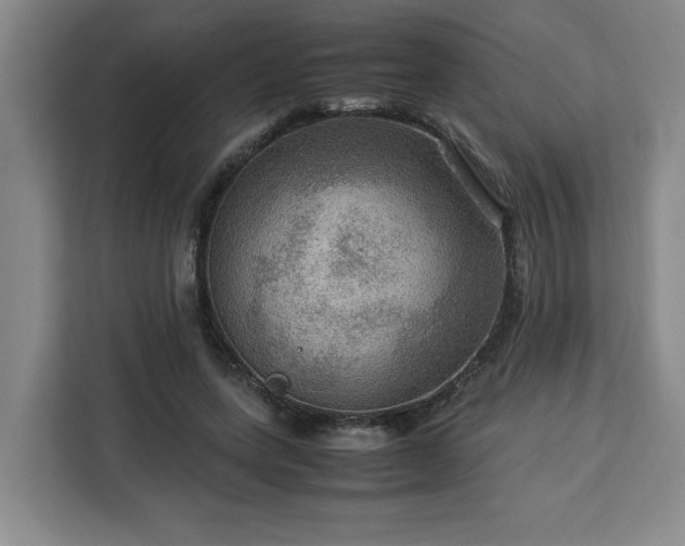 X0000112950543200908311511