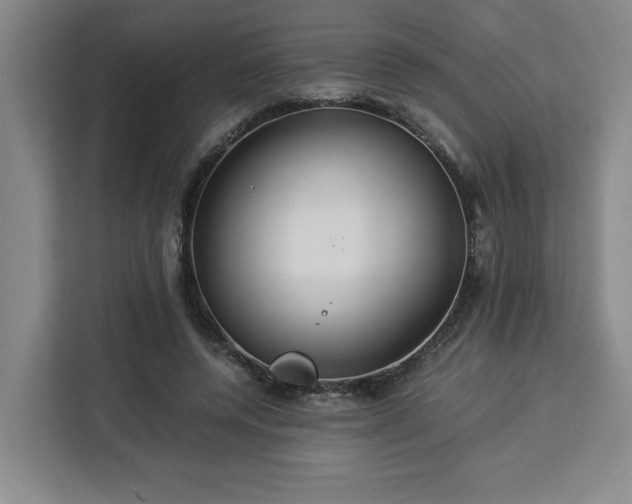 X0000112950544200908311511