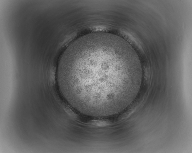 X0000112950545200908311511