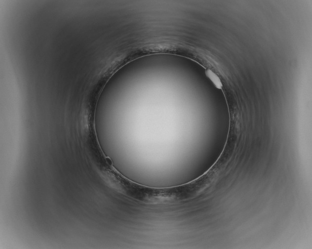 X0000112950546200908311511