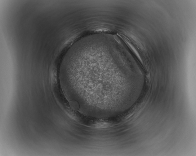 X0000112950547200908311511