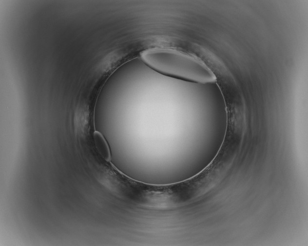 X0000112950548200908311511