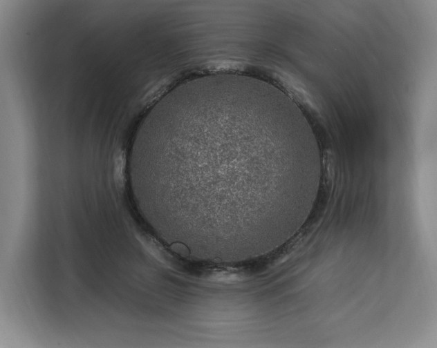 X0000112950550200908311511