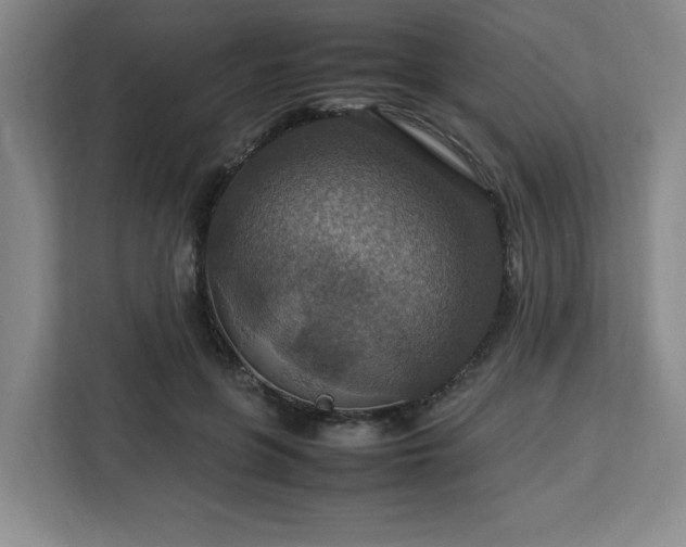 X0000112950551200908311511