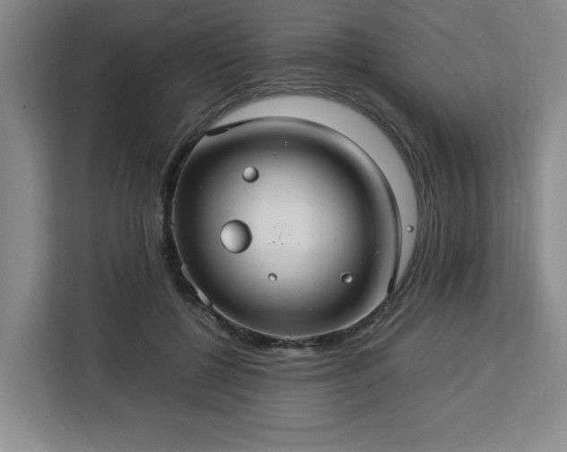 X0000112950552200908311511